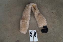 used miniature horse tack for sale